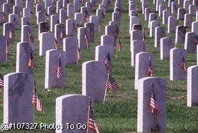 Military cemetery