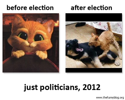 election-2012-courtesy-the-funny-blog-dot-org.jpg